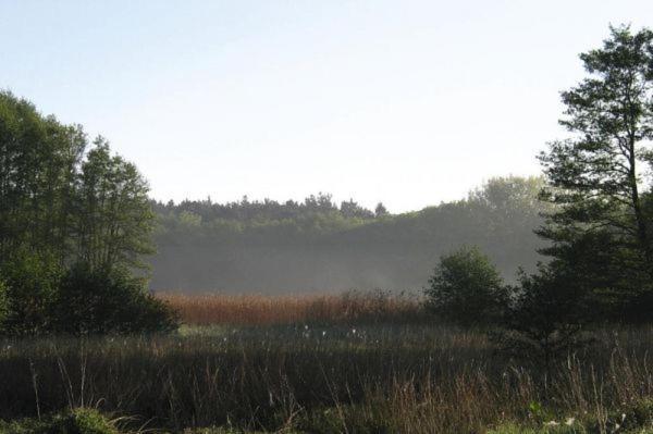 Fewo Ferien Am Schweriner See Flessenow Esterno foto